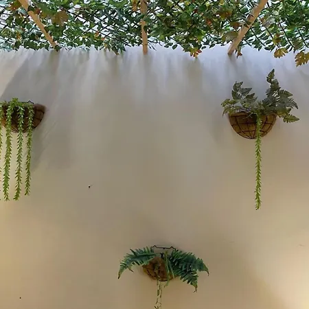 Апартаменты Douro Порту